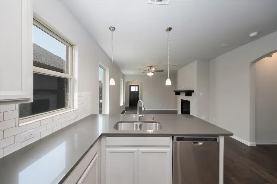 17048 Mimbre Drive, Justin, TX 76247 - Image #3