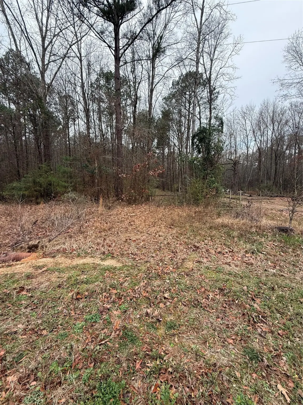 0 Highway 3, Plain Dealing, LA 71064 - Image #1