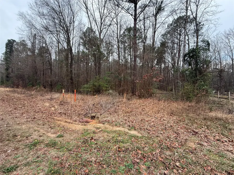 0 Highway 3, Plain Dealing, LA 71064 - Image #2