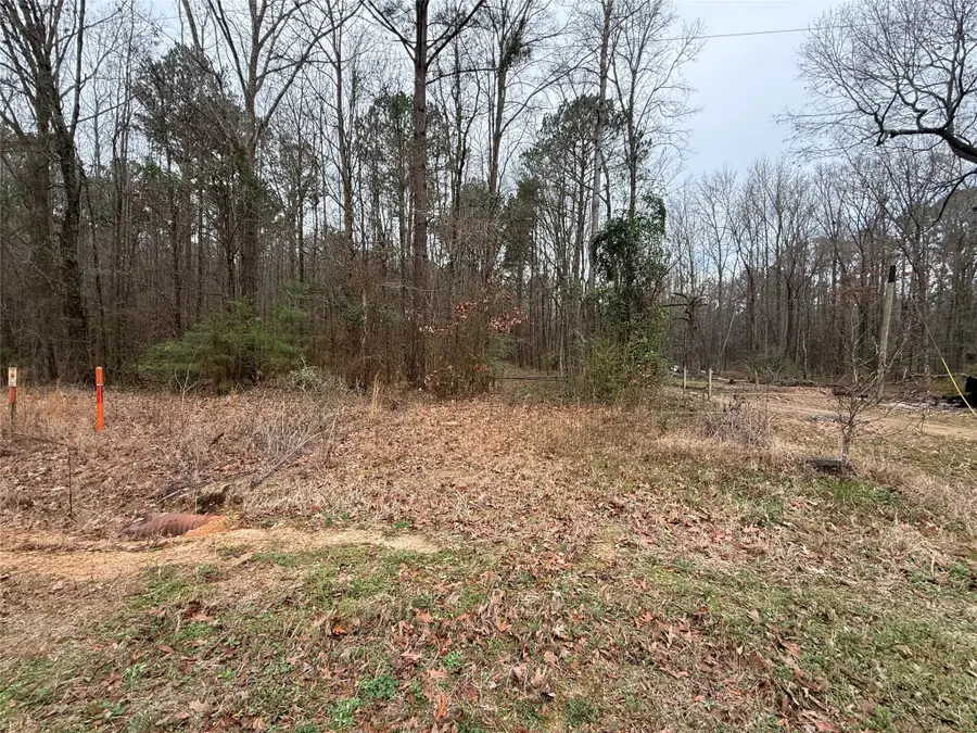 0 Highway 3, Plain Dealing, LA 71064 - Image #3