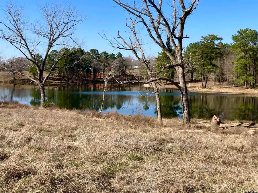 Lot 64 Pat Road, Gladewater, TX 75647 - Image #3