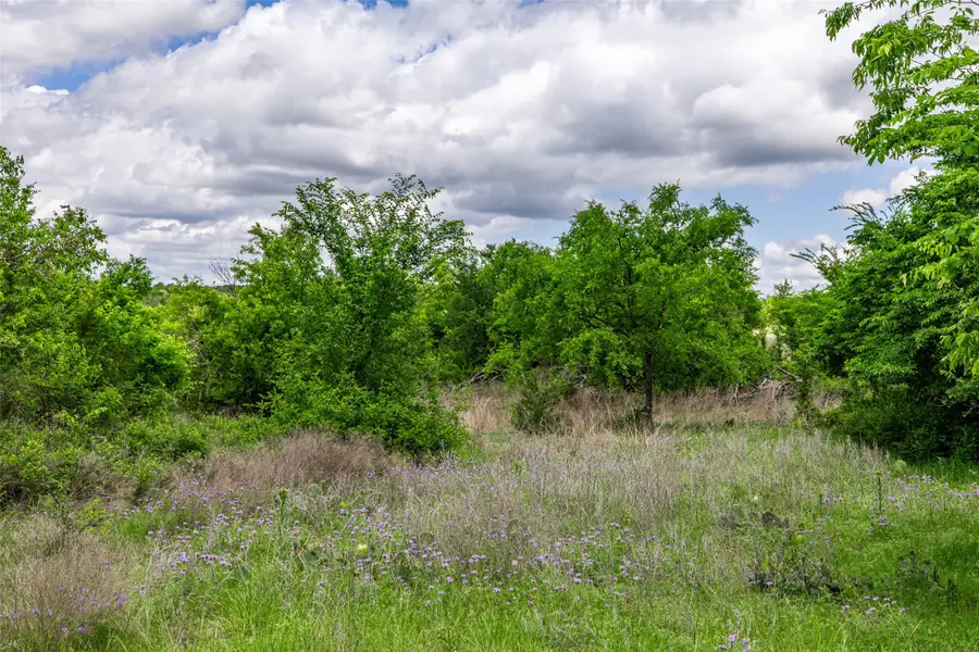 1728 Sweet Springs, Weatherford, TX 76088 - #2