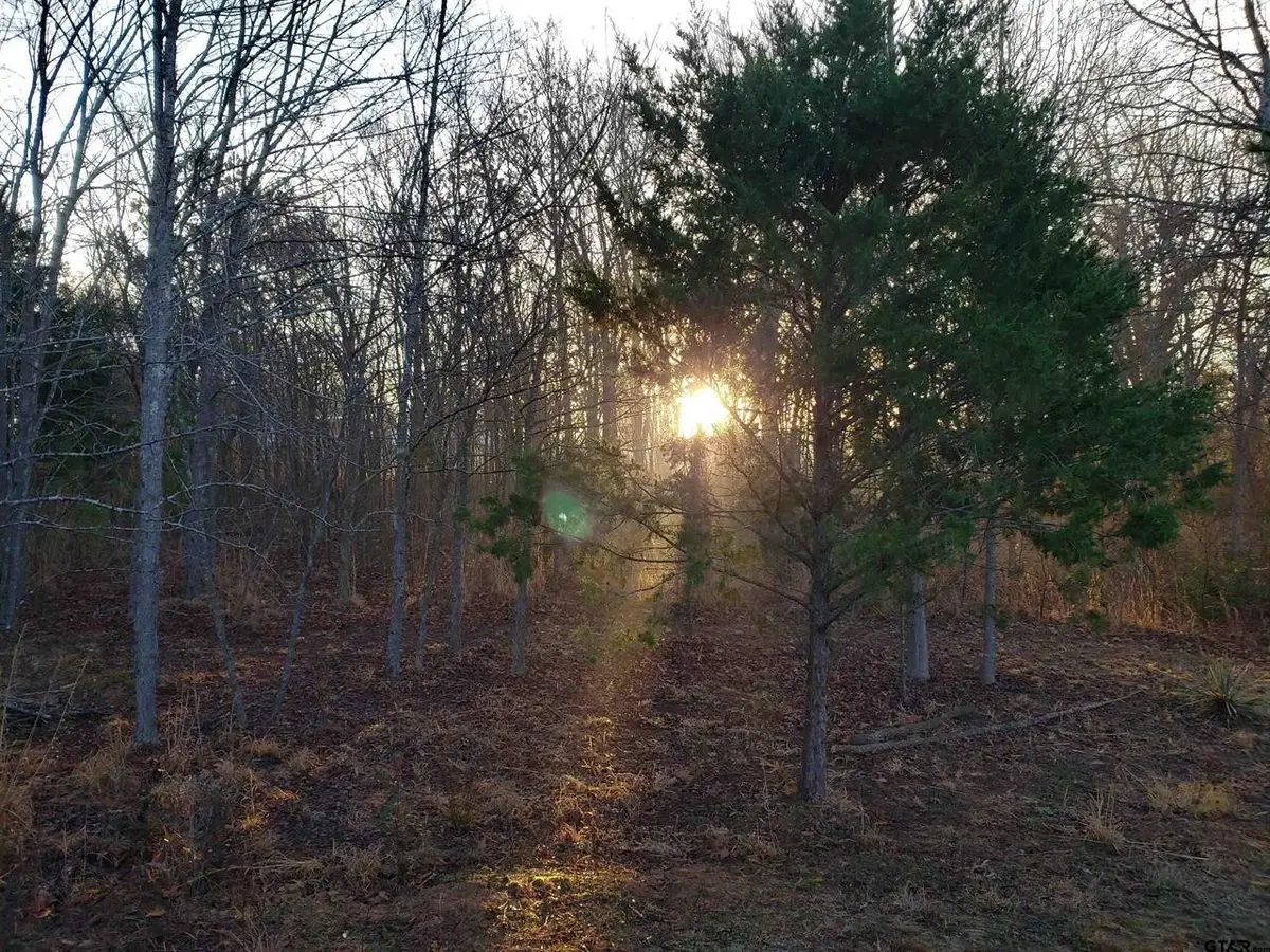 20039 C County Road 450, Lindale, TX 75771 - Image #1