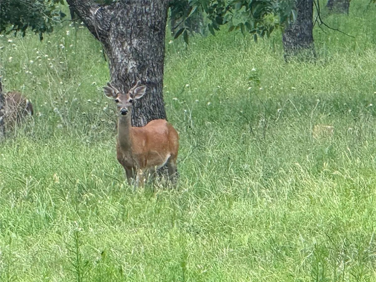 3140 E Landings S, Granbury, TX 76049 - Image #1