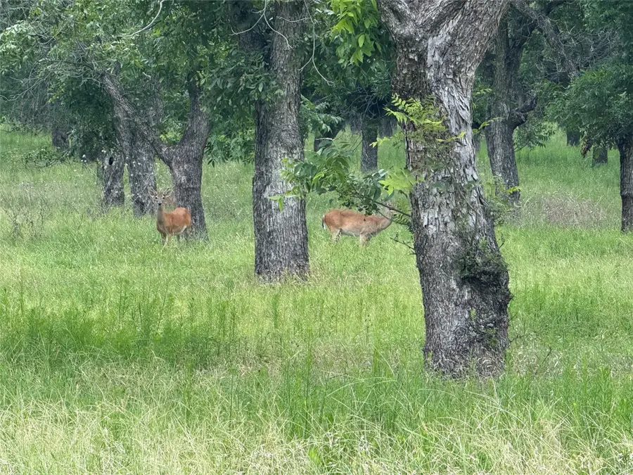 3140 E Landings S, Granbury, TX 76049 - Image #2