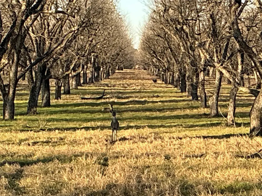 3140 E Landings S, Granbury, TX 76049 - Image #3