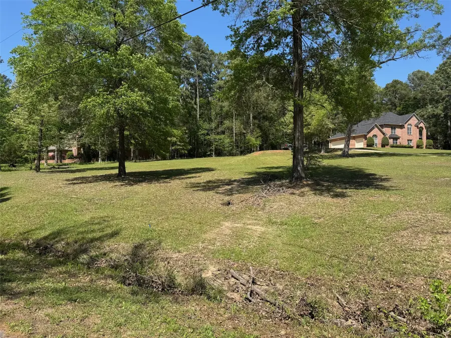 18050 Deer Trail, Flint, TX 75762 - Image #2