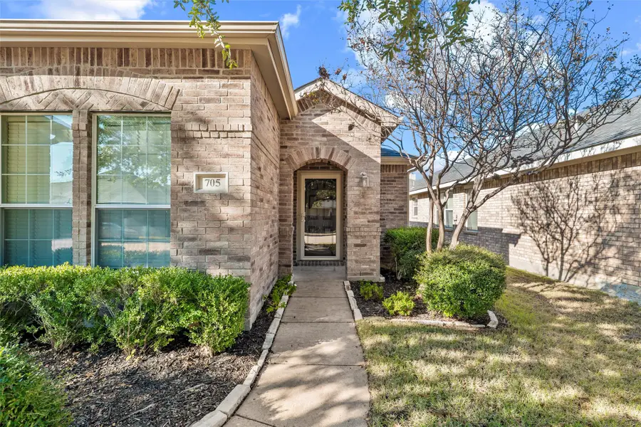 705 Fireberry Drive, Fate, TX 75087 - Image #3