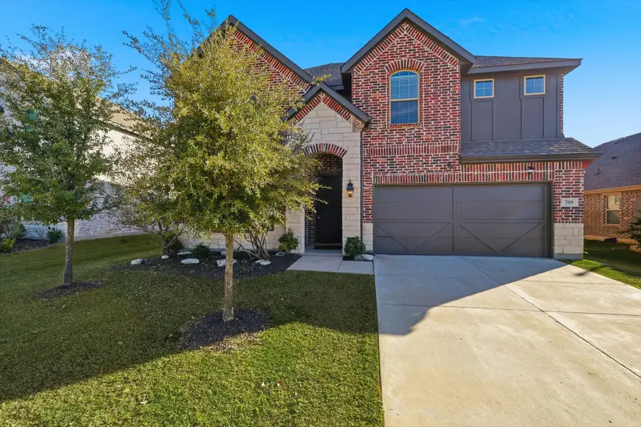 709 Lake Cove Drive, Little Elm, TX 75068 - Image #3