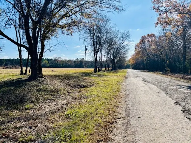 954 County Road 1813, Yantis, TX 75773 - Image #3