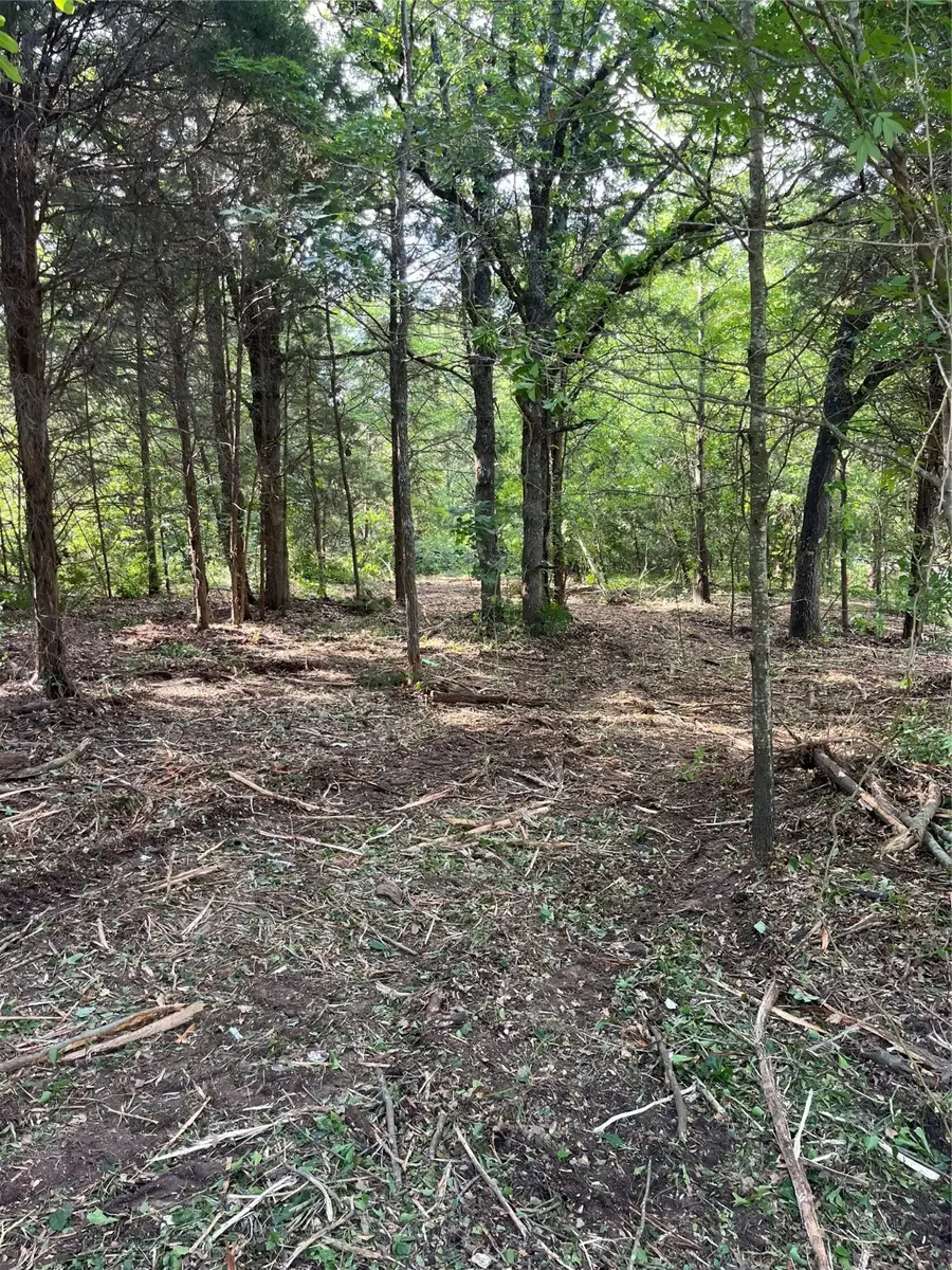 141 Eastern Hills Drive, Mabank, TX 75156 - #2