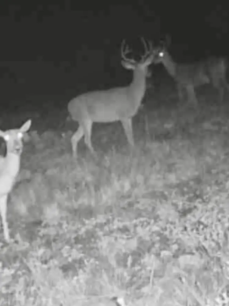 43 Cave Well Ranch, Fort McKavett, TX 76825 - Image #3