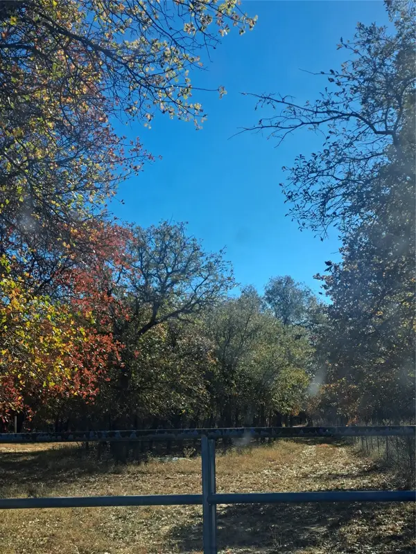 20.987 acres TBD FM 3368, Hawley, TX 78525