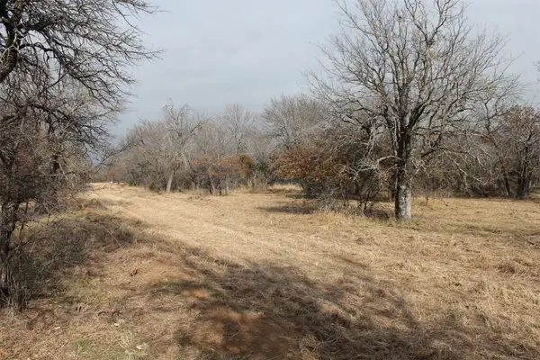 Lot 203 Ridgeline Drive, Chico, TX 76431