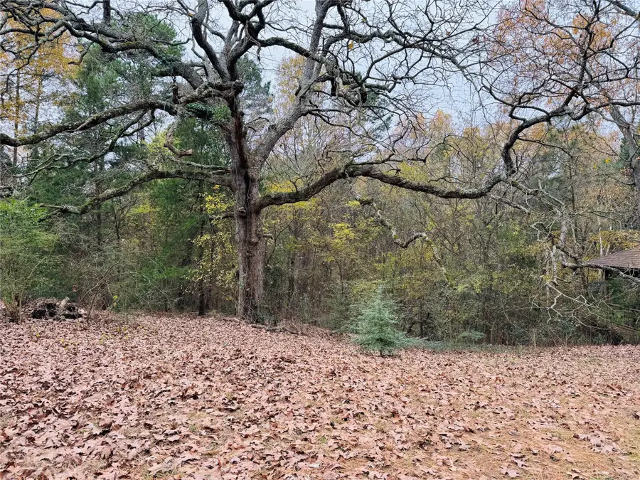 9689 Farm Road 1448, Winnsboro, TX 75494 - Image #2