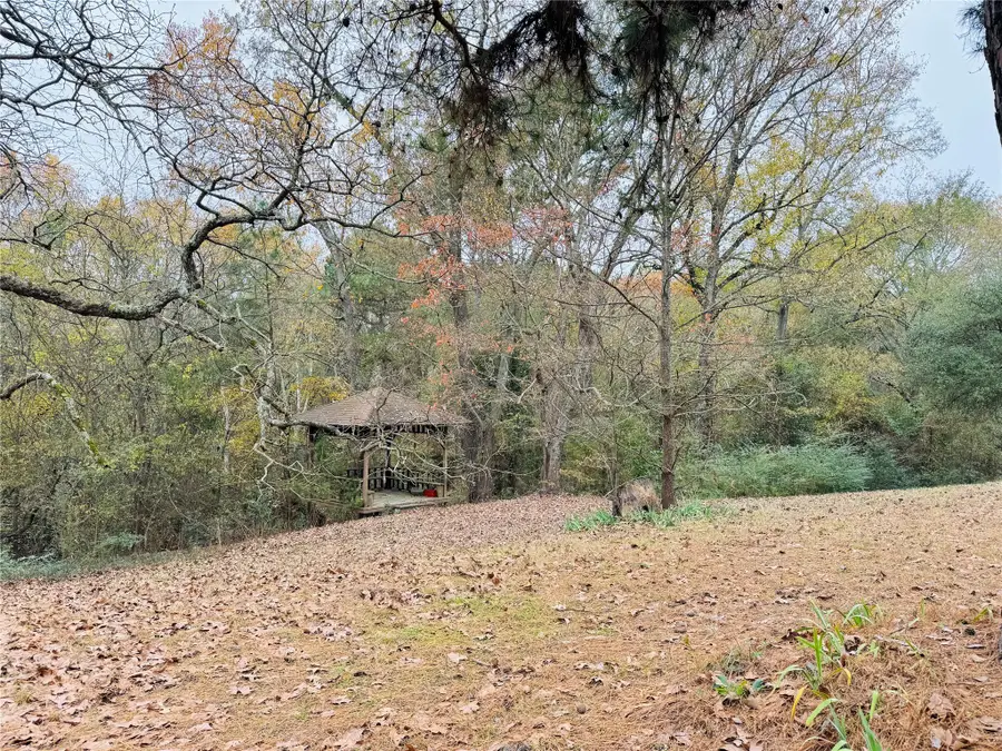 9689 Farm Road 1448, Winnsboro, TX 75494 - Image #3