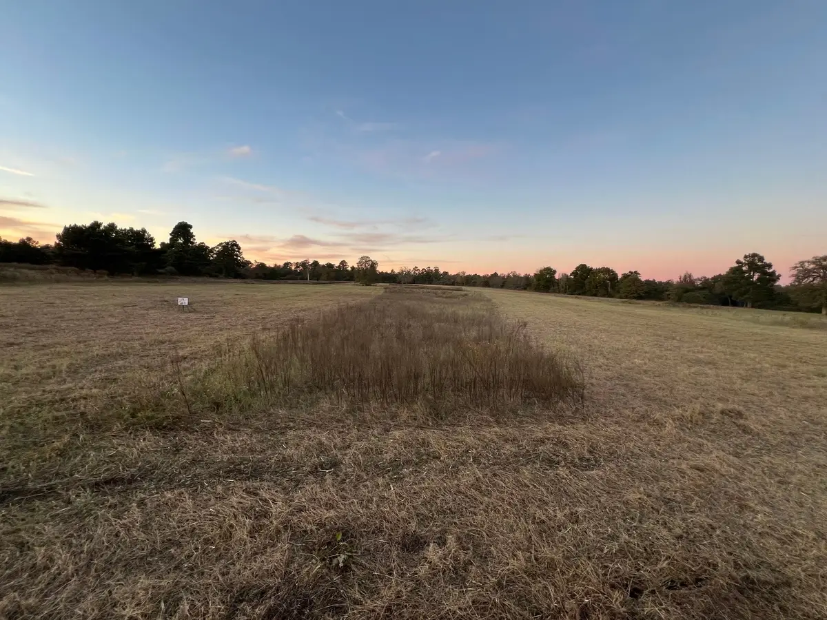 tbd Pr 1315, Centerville, TX 75833 - Image #1