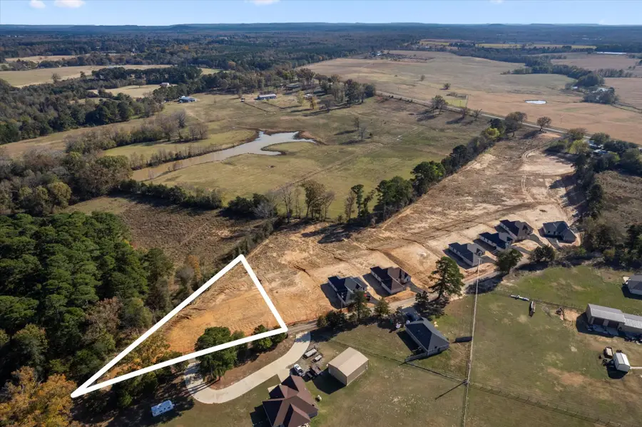 Lot 1 Cr 4323, Pittsburg, TX 75686 - Image #3