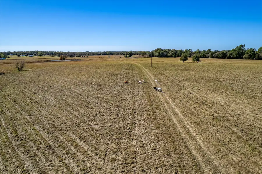 000 Fm 1504, Wills Point, TX 75169 - Image #3