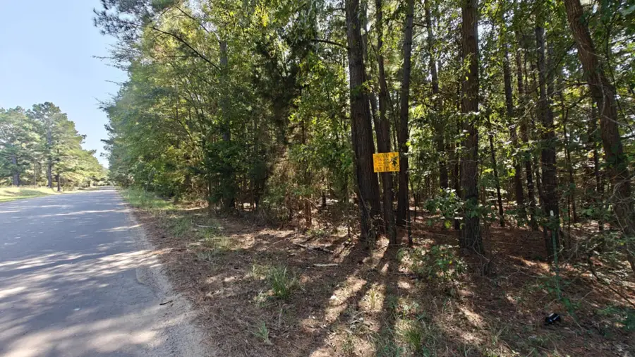 24068 County Road 244, Overton, TX 75684 - Image #2