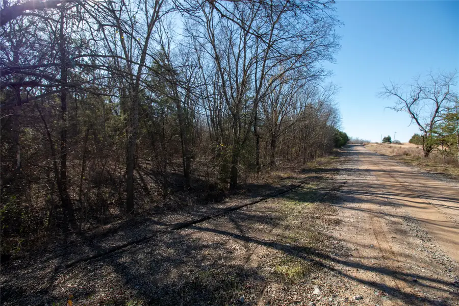 TBDlot1 County Road 2905, Dodd City, TX 75438 - Image #2