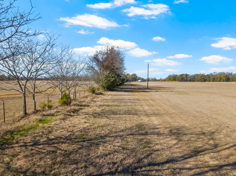 TBD County Road 4878, Winnsboro, TX 75494 - Image #3