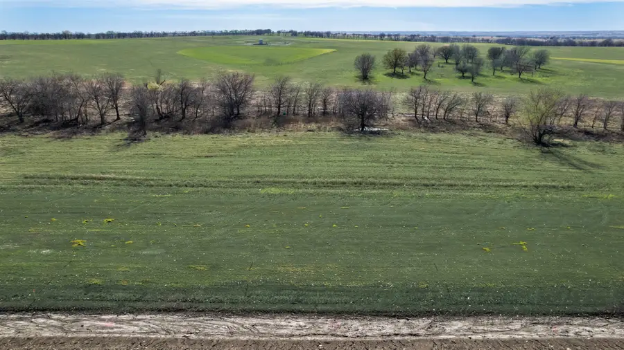 TBD Bois D'arc Lane, Ponder, TX 76259 - Image #2