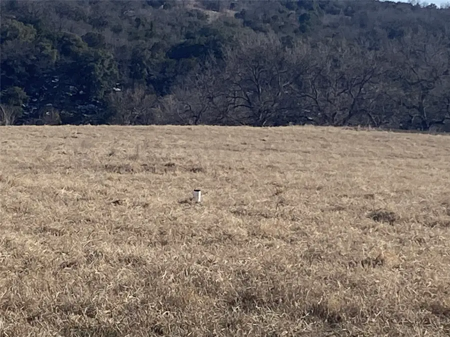 Lot 133 River Shoals, Mineral Wells, TX 76067 - #3