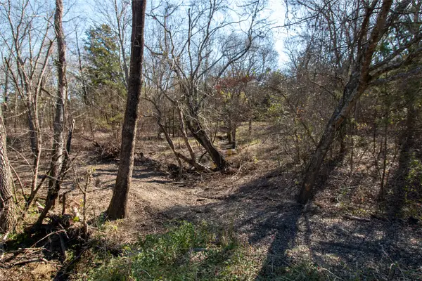 TBDlot3 County Road 2905, Dodd City, TX 75438