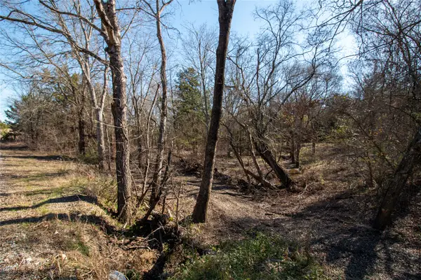 TBDlot4 County Road 2905, Dodd City, TX 75438