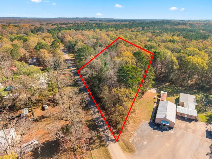 0 County Road 2413 Road, Karnack, TX 75661 - Image #3