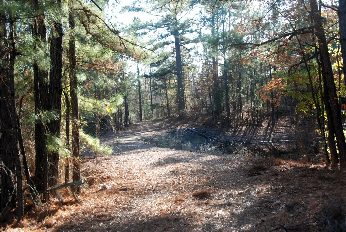 TBD Fm 14, Hawkins, TX 75765 - Image #1