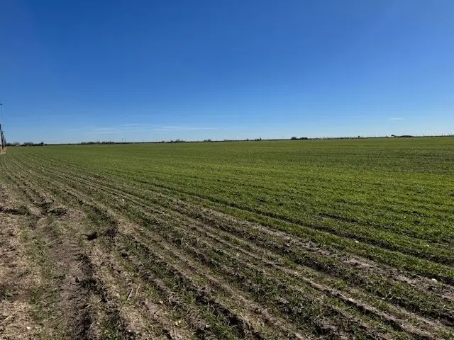 TBD Hwy 351 & Mesquite Ln, Abilene, TX 79601 - Image #3