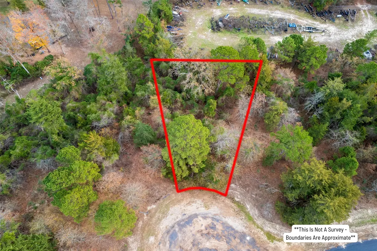 Lot 450 Charlya Drive, Scroggins, TX 75480 - Image #1