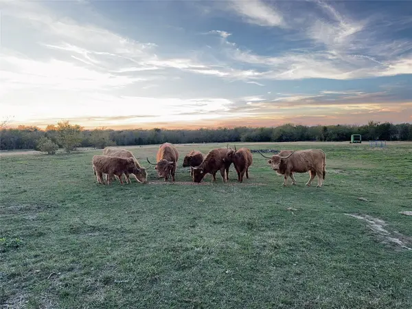 4081 Fm 2736 #D, Campbell, TX 75422