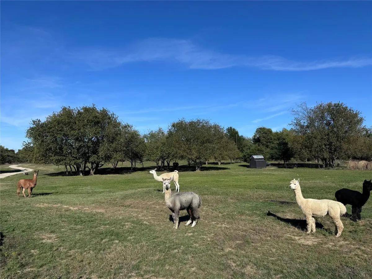 4081 Fm 2736 #C, Campbell, TX 75422 - Image #1