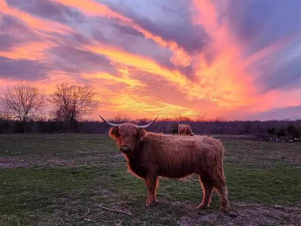 4081 Fm 2736 #B, Campbell, TX 75422