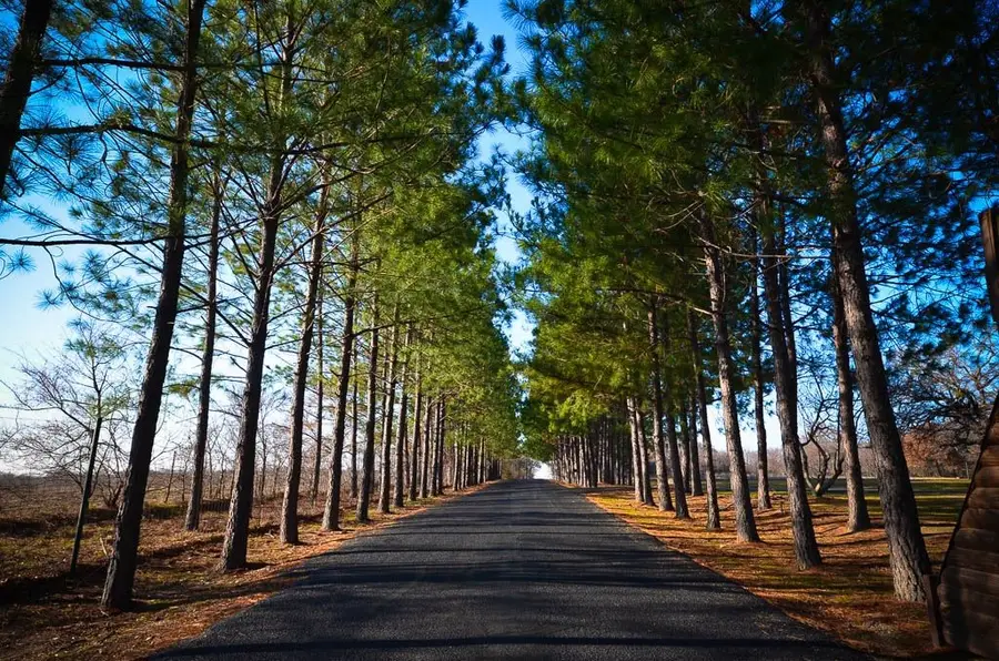 131 Lincoln Drive, Streetman, TX 75859 - Image #3