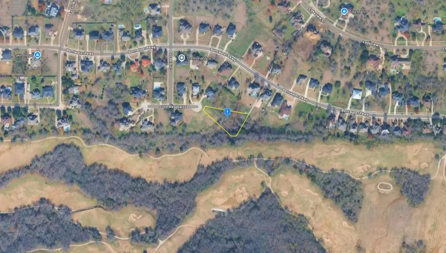 1004 Cove Meadow Court, Grand Prairie, TX 75104 - Image #3