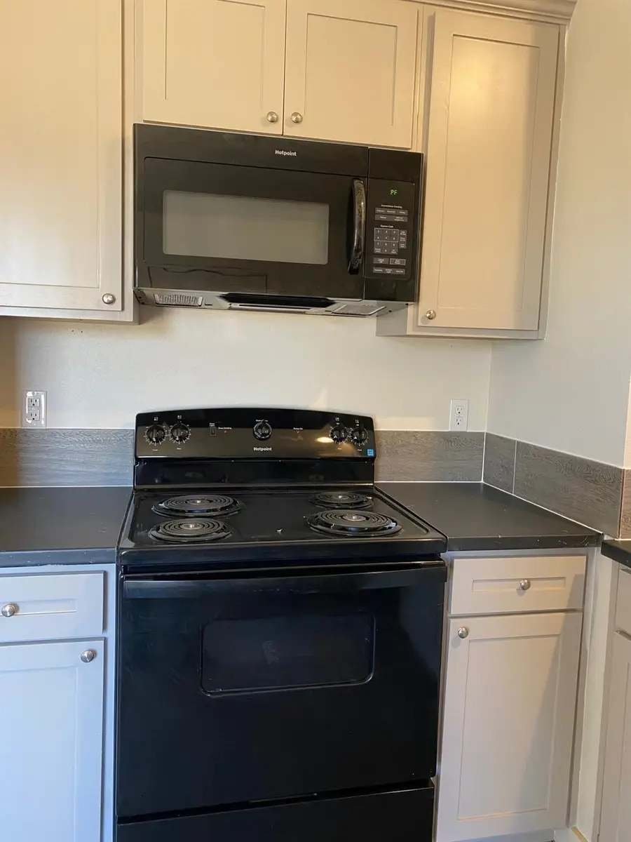 124 Bridlewood Lane, Bridgeport, TX 76426 - Image #3