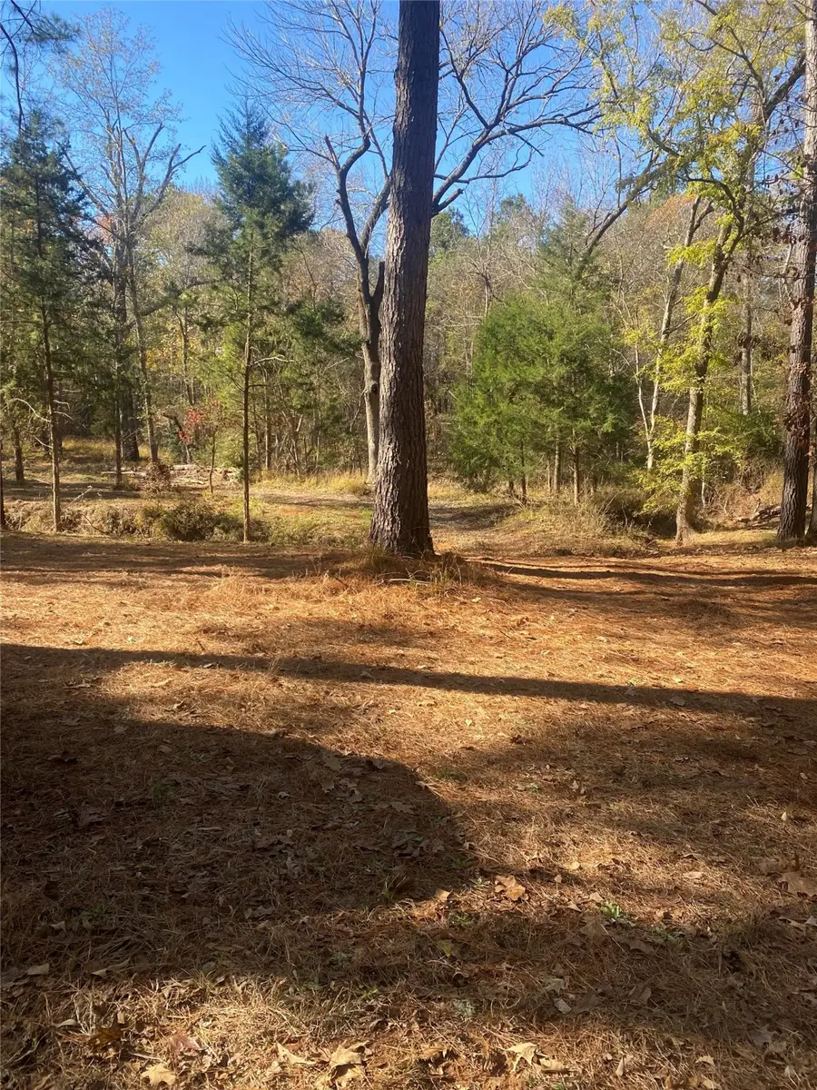 44.2 Acres State Hwy 64, Ben Wheeler, TX 75754 - Image #2