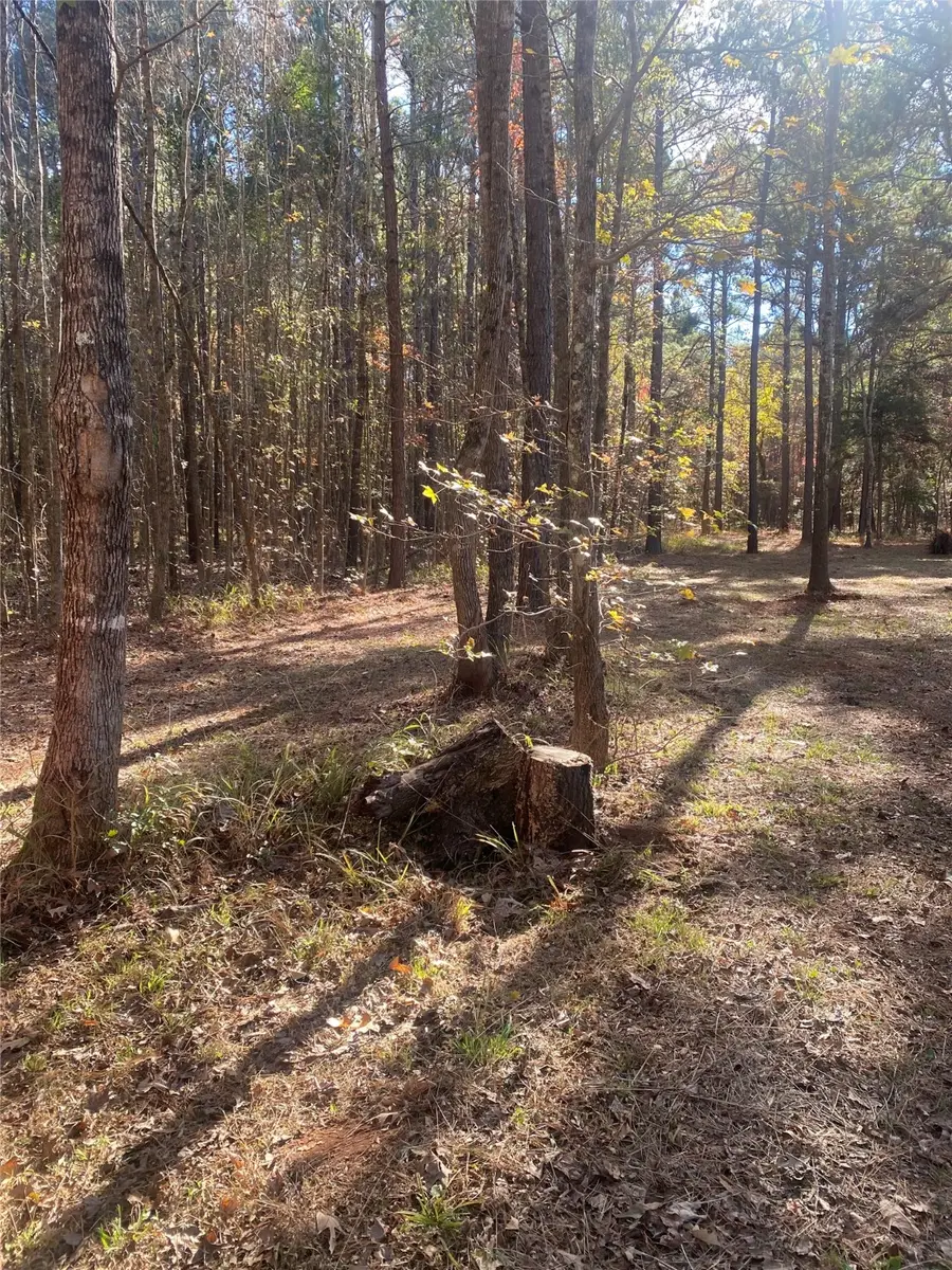 44.2 Acres State Hwy 64, Ben Wheeler, TX 75754 - Image #3