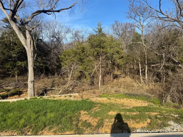 Lot 96 Castlewood Street, Gordonville, TX 76245