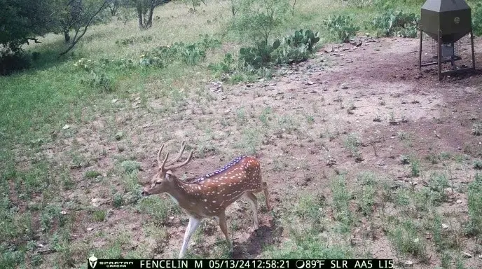 371 Axis Court, Melvin, TX 76858 - Image #2