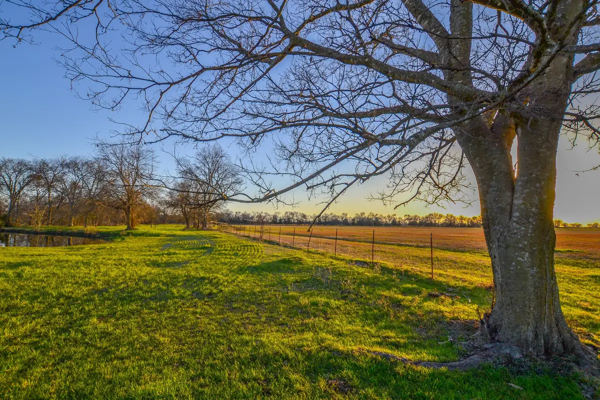 1392 E Us Highway 69, Point, TX 75472 - Image #1