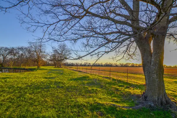 1392 E Us Highway 69, Point, TX 75472