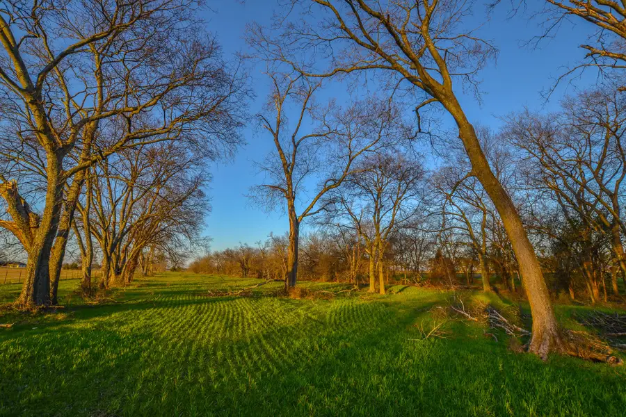 1392 E Us Highway 69, Point, TX 75472 - Image #3