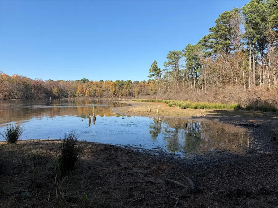 2777 County Road 4875, Pittsburg, TX 75686 - Image #2