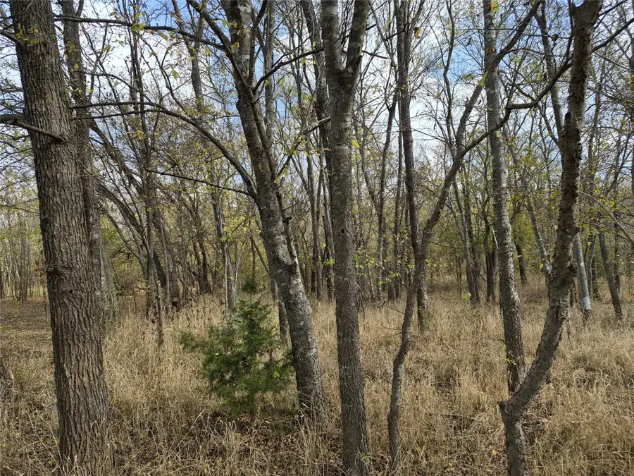 1386 Palmyra Road, Palmer, TX 75152 - Image #3