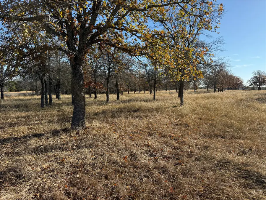 TBD Private Road 1403 Road #1403, Morgan, TX 76671 - Image #2